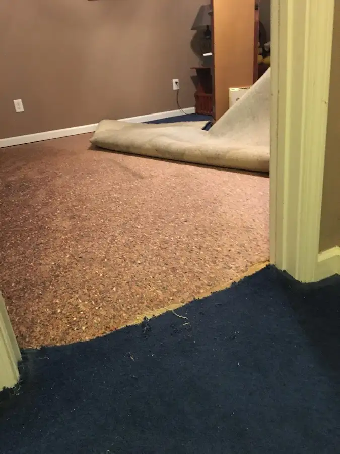 Carpet pad removal revealing water damage during Water Mitigation Services in Calumet Park